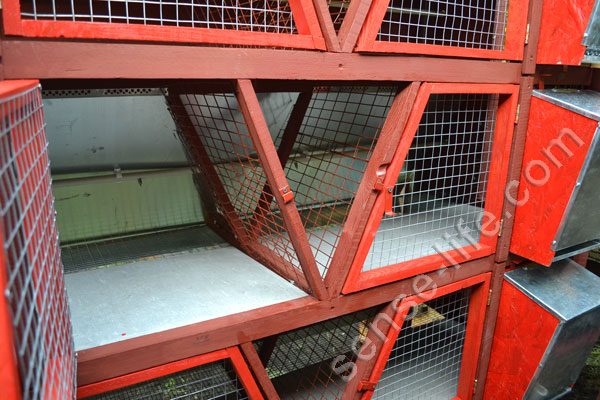 вбудований сінник в клітці для кроликів